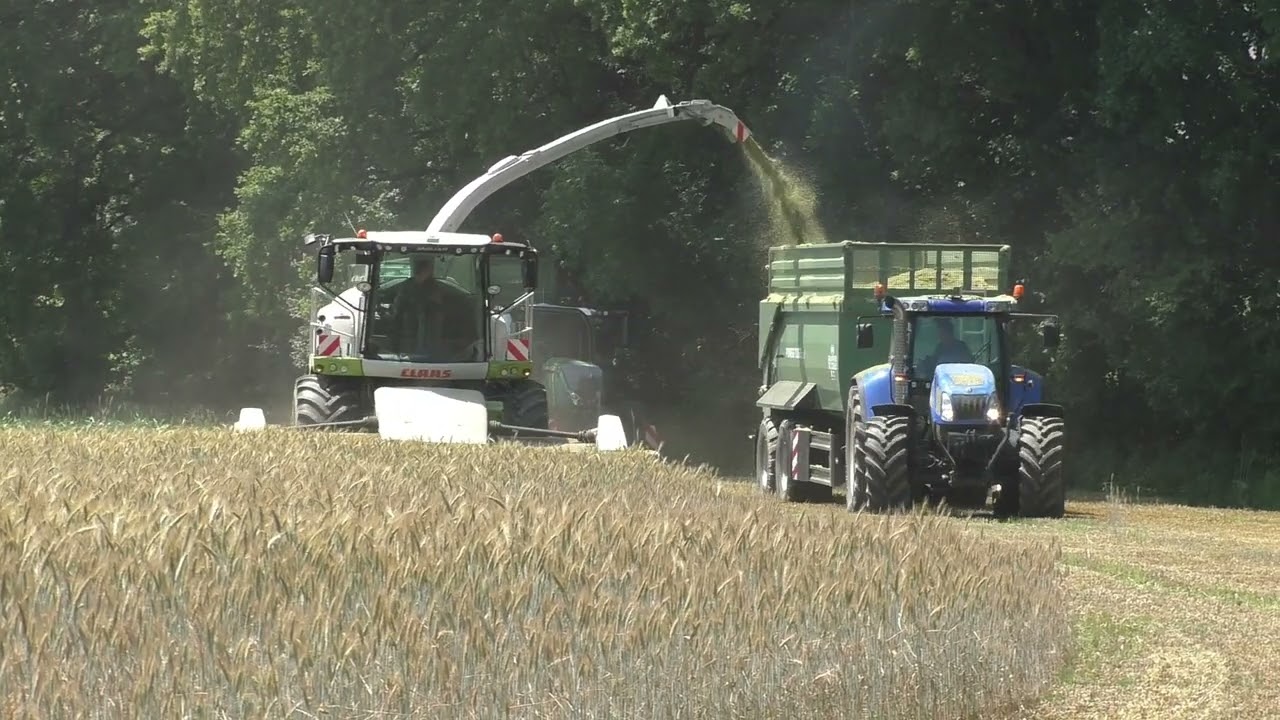 Claas Jaguar 970 DIRECT DISC 600 in der Triticale   Teil   GPS häckseln mit Lohnunternehmen Hannes H