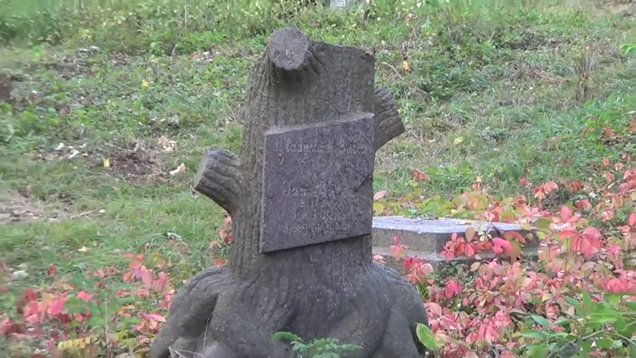 ПОЛЬСЬКИЙ ЦВИНТАР   ВОРОНОВИЦЯ