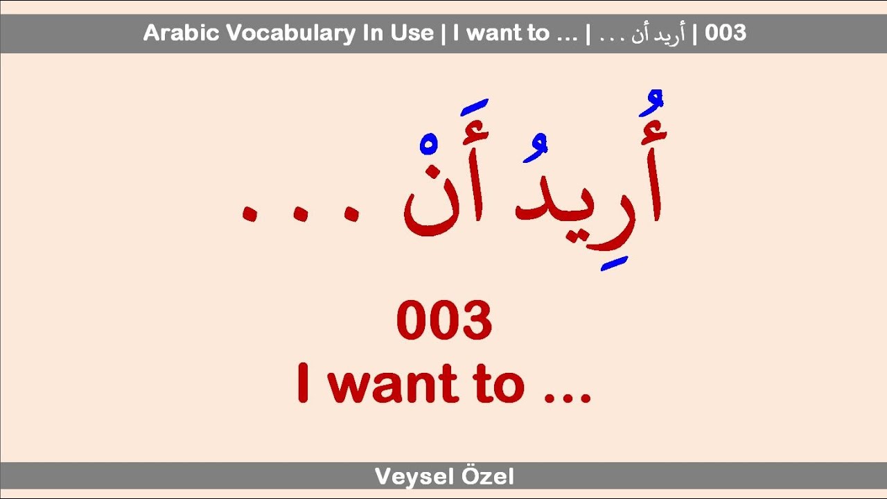 Arabic Vocabulary In Use | I want to … | أريد أن ... | 003 #english #arabic #german #turkish #türkçe