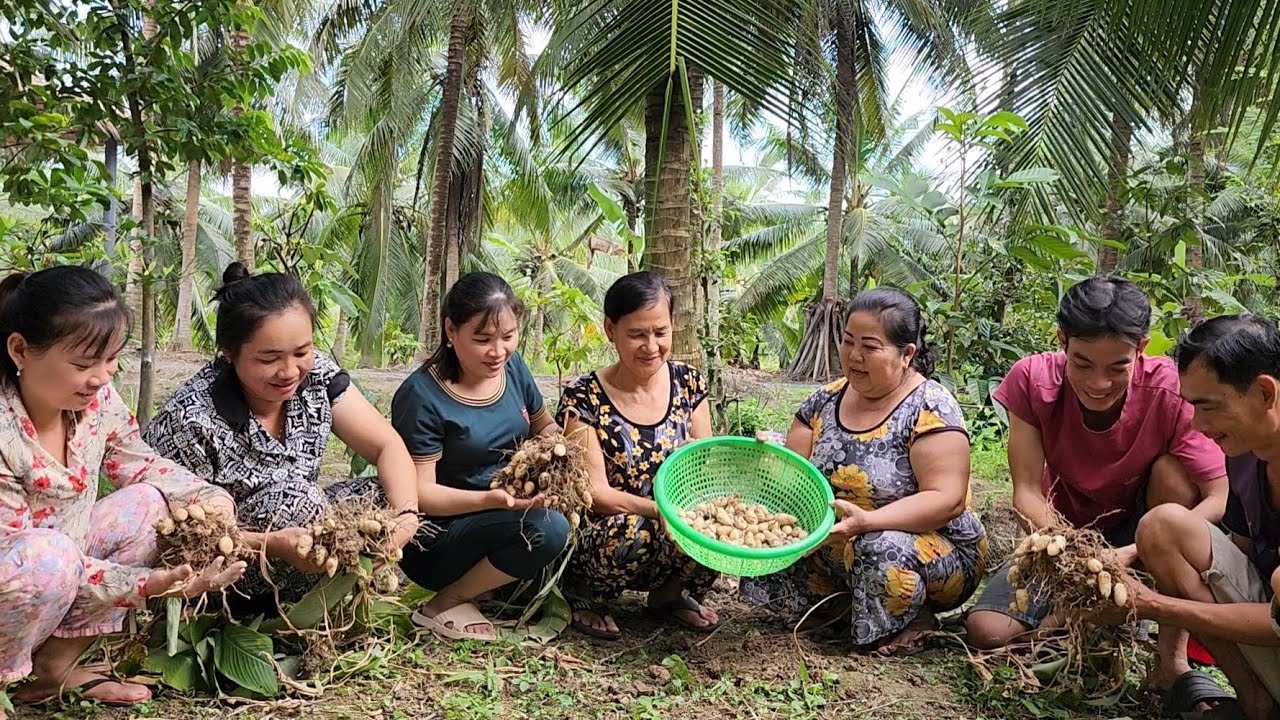 Một Mùa Bội Thu Đã Đến Cùng với Món Sườn Non Hầm Củ Lùn Không Thể Nào Quên | BQCM & Family T588