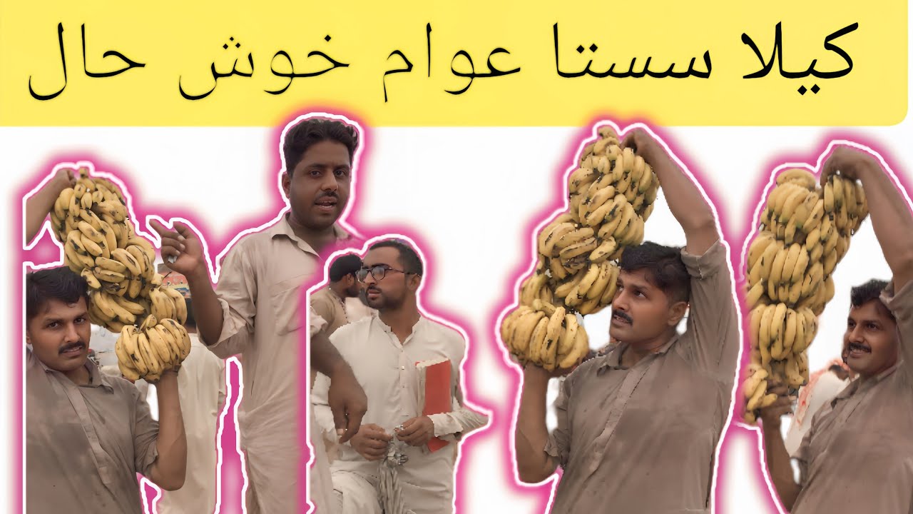 New video mandi 2024.8.1