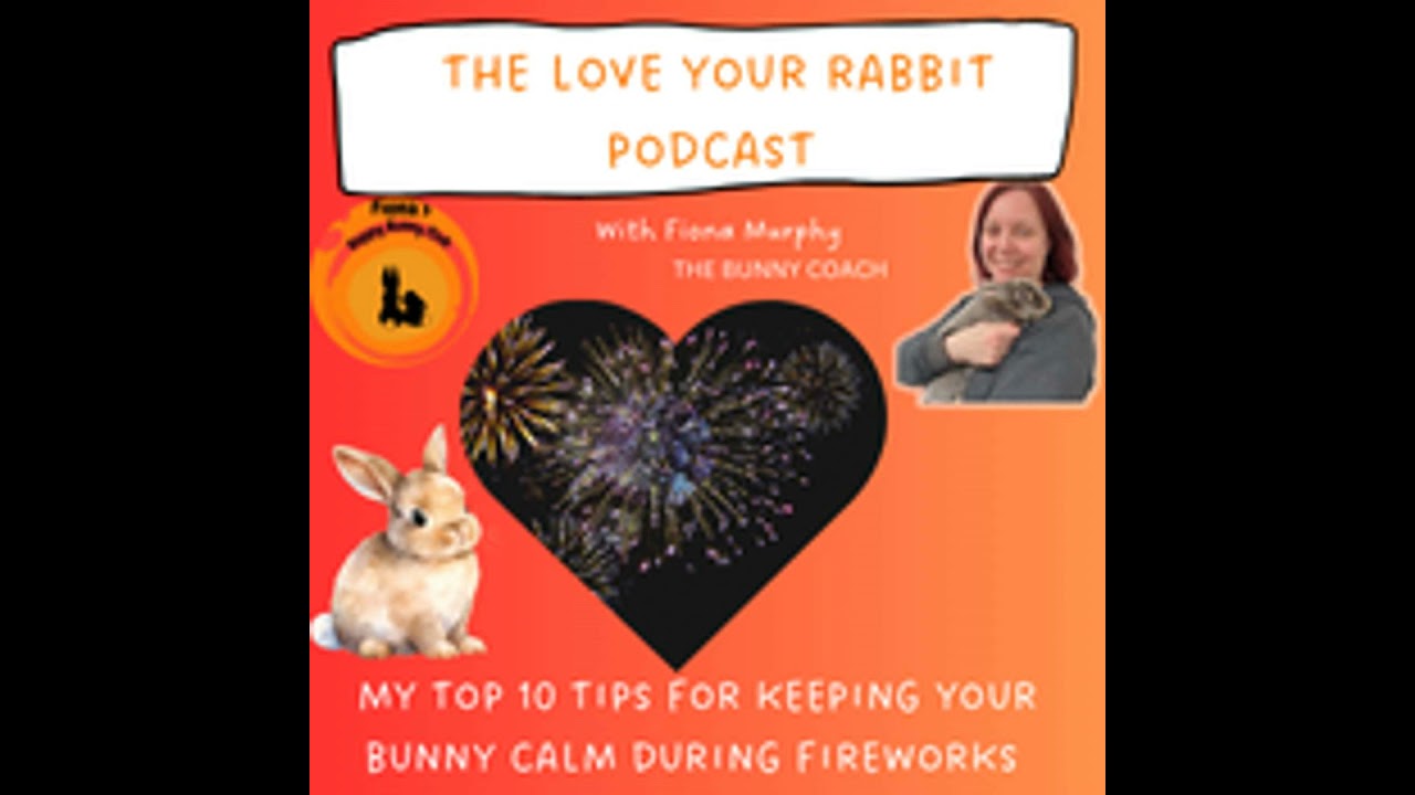 #10 - MY TOP 10 TIPS FOR KEEPING YOUR RABBIT CALM DURING FIREWORKS