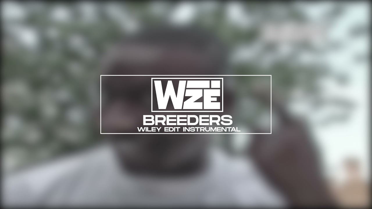 WIZE - breeders (instrumental)