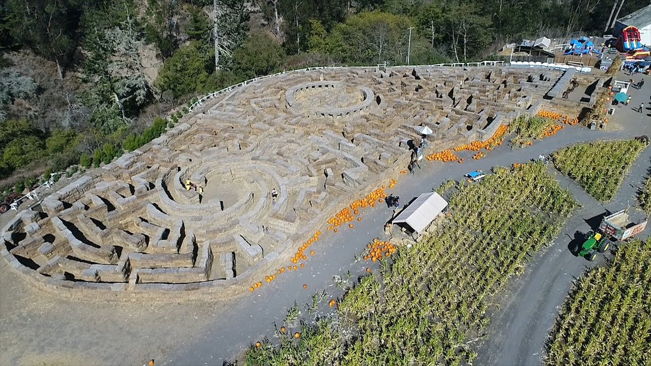 Brave Enough to Try and Escape the Arata's Farm Hay Maze? | My Go-To