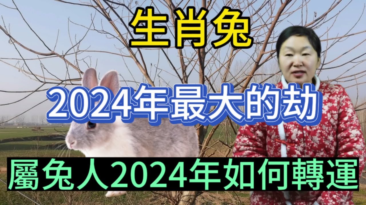 生肖屬相兔！屬兔人2024年最大的劫！生肖屬兔人在2024年是如何轉運的？本期視頻講述生肖兔的2024年！#運勢 #風水 #智慧 #轉運