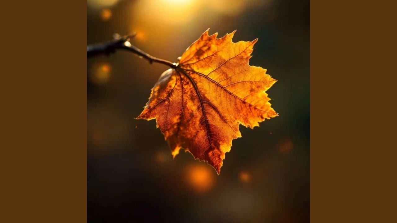 Leaf