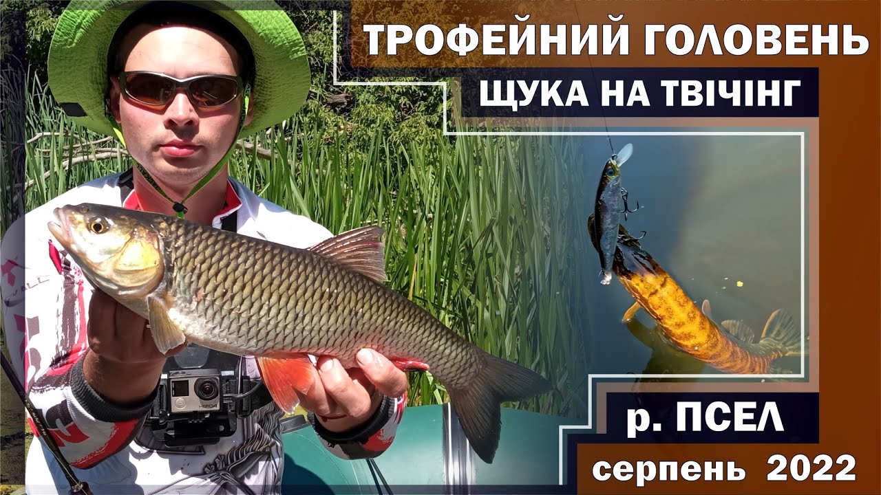 МНОГО ЩУКИ на ТВИЧИНГ. ТРОФЕЙНЫЙ ГОЛАВЛЬ на реке ПСЕЛ! Рыбалка в ЖАРУ в АВГУСТЕ 2022