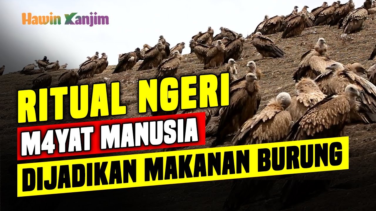 Ritual Mengerikan, M4yat Manusia dijadikan Makanan Burung || Pemakaman Langit di Tibet
