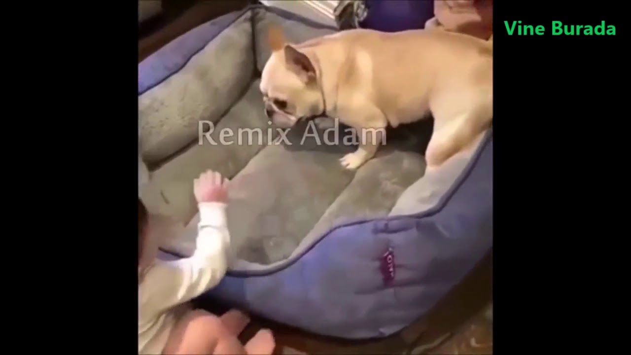 G&uuml;lmekten aglatan 2018 Remix adam