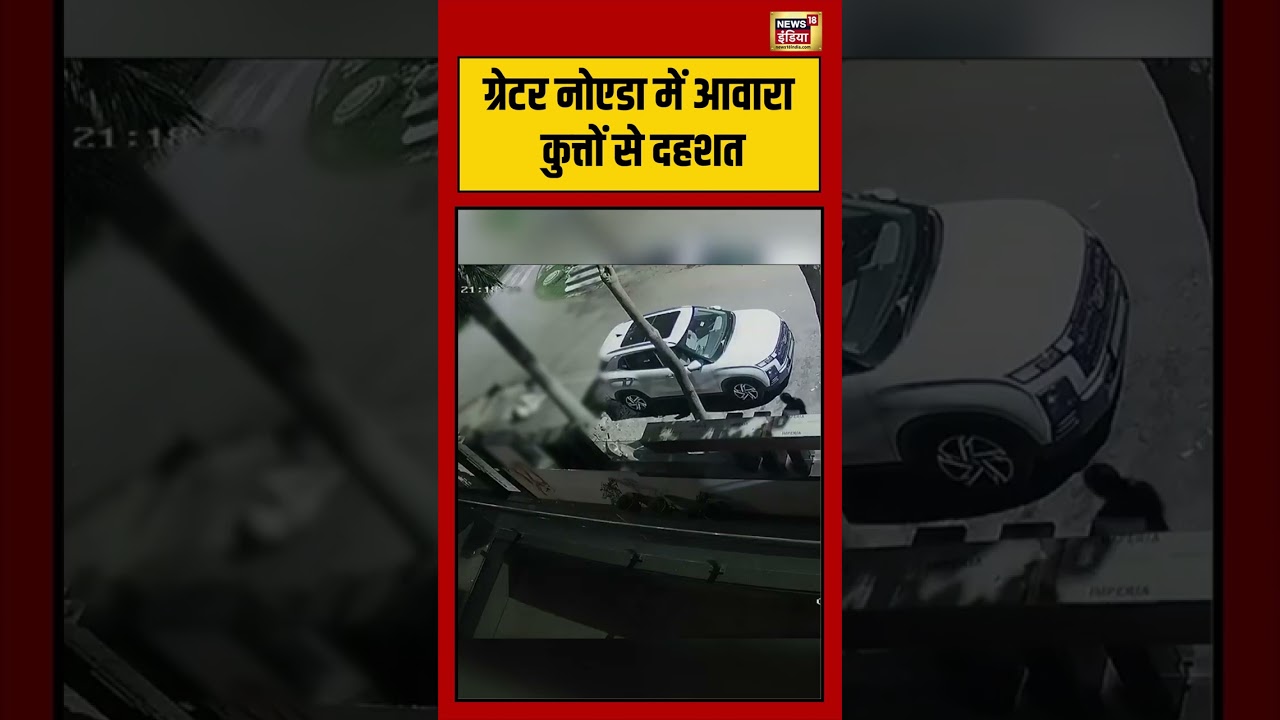 Dog Attack | Greater Noida में आवारा कुत्तों से दहशत | #viralvideo #viralnews #shorts