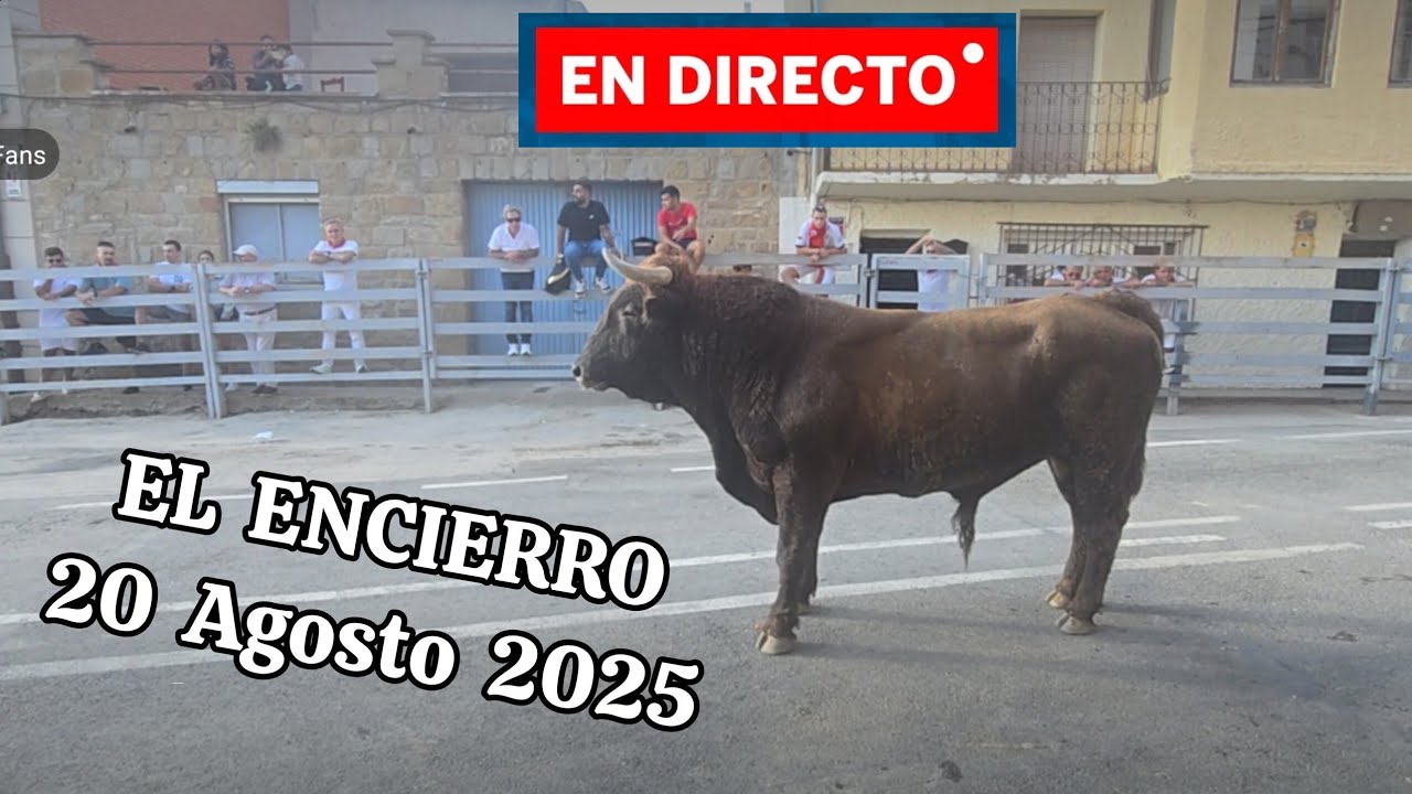 🐂🥳 ENCIERRO en DIRECTO #fiesta en Mélida 🔹️#viral #toros #viralvideo #directo 🔹️#navarra 
