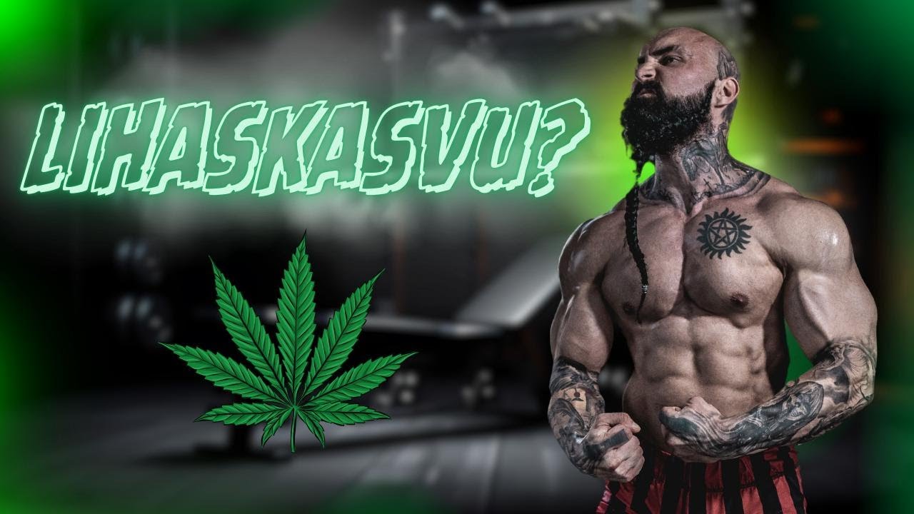 Kannabis & Kehonrakennus - Hyödyt ja Haitat