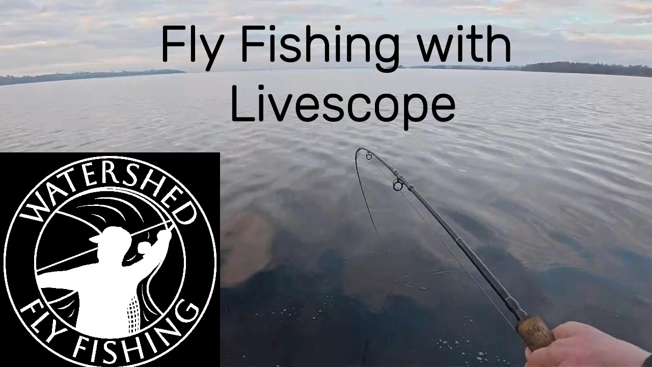 Fly (and lure) fishing with Livescope