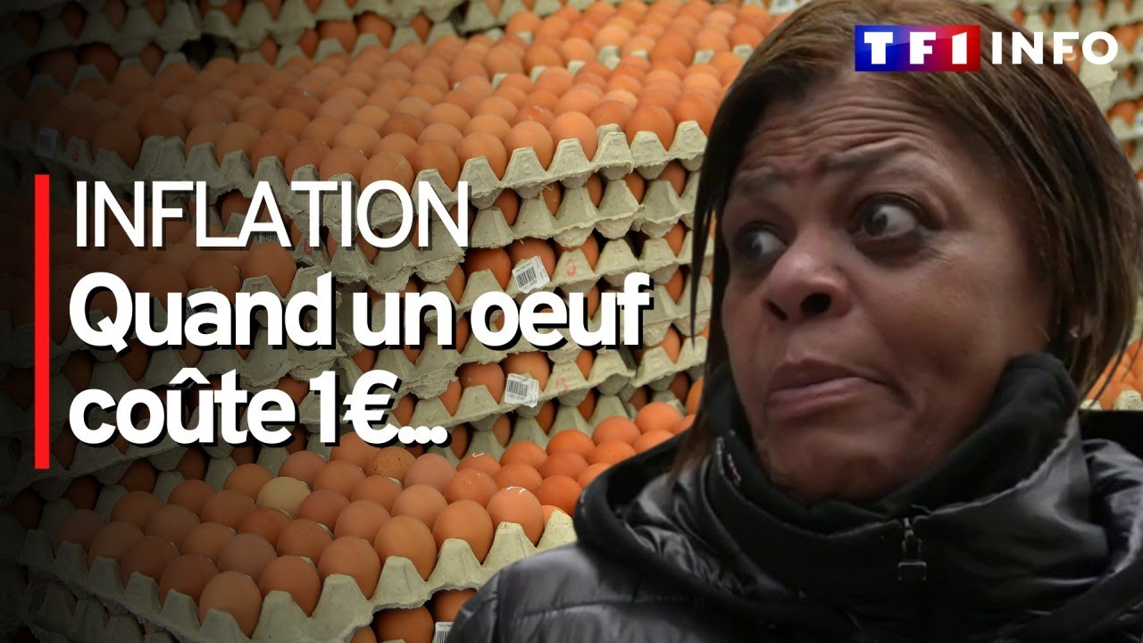 Inflation : quand les oeufs deviennent un produit de luxe aux États-Unis
