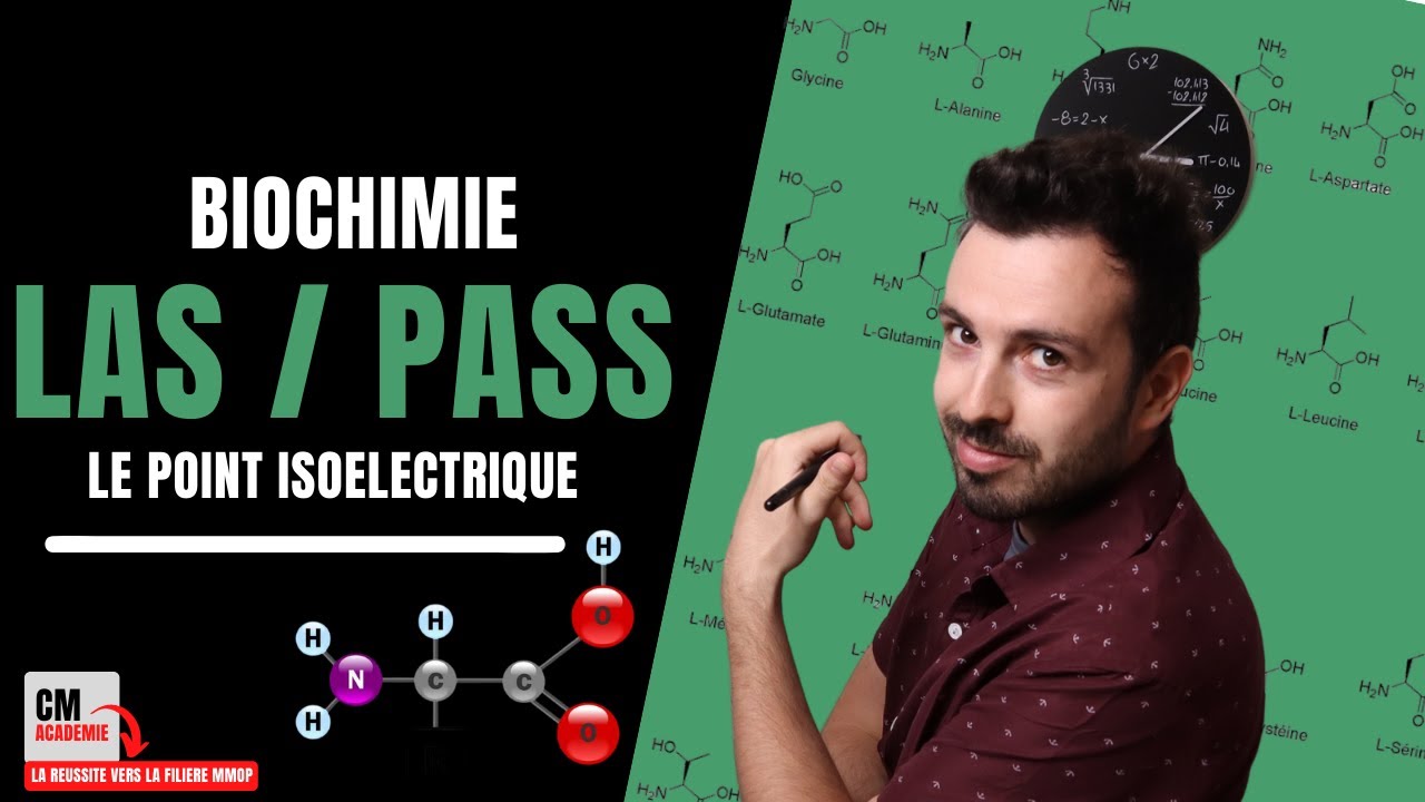 Protéines & Acides aminés - ZWITTERION : 🧬 Comment calculer le POINT ISOELECTRIQUE ?