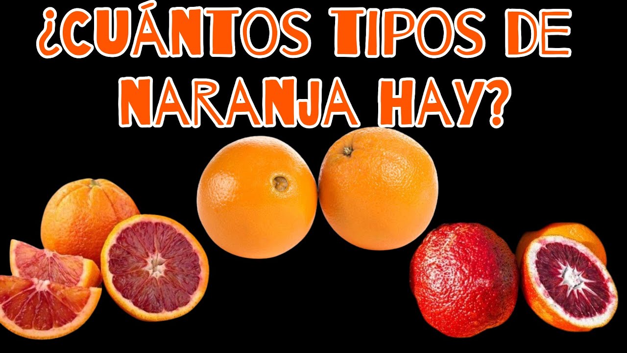 Lo que no sabías de las naranjas
