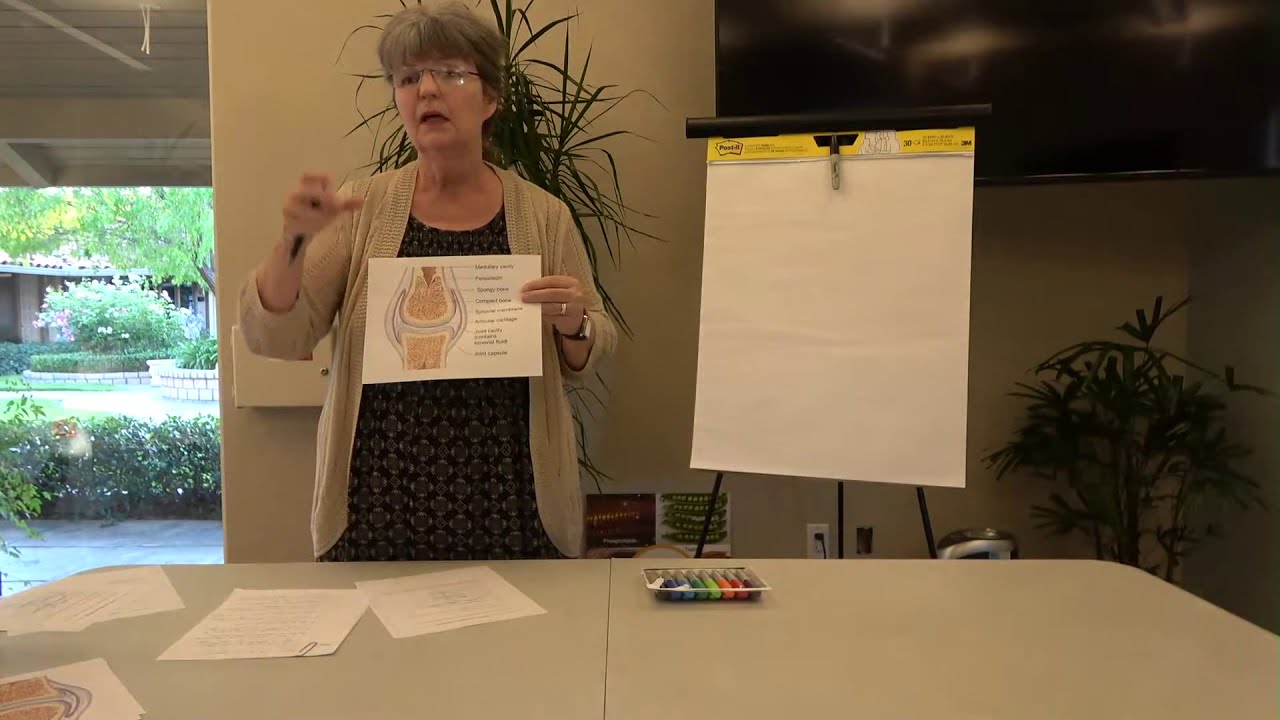 Arthritis and Joint Pain: An Integrative Medicine Doctor explains all