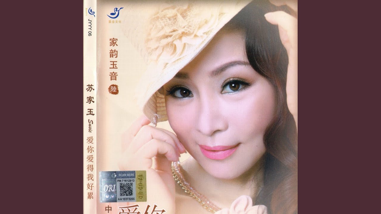 数天数
