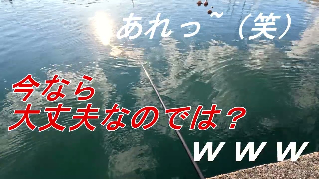 のべ竿でアジ釣り　今日は　とんでもない〇〇と夕まずめにアジが釣れました