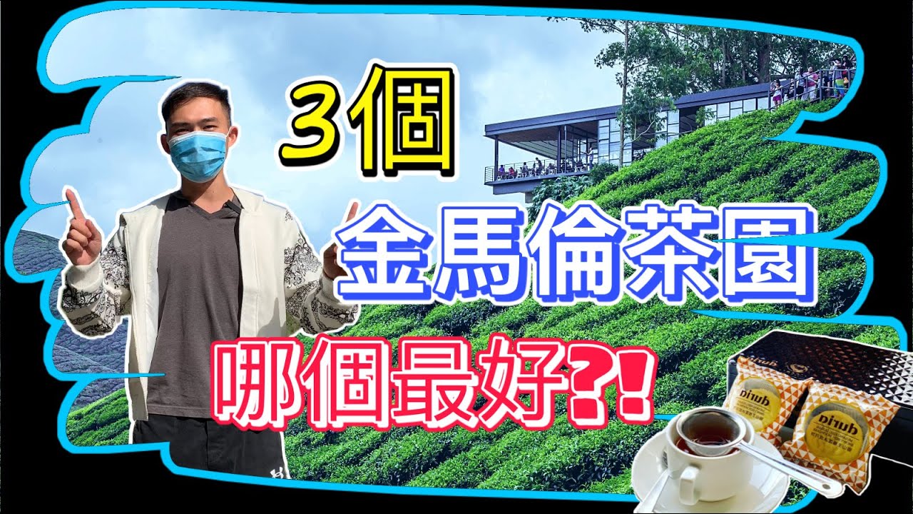 【馬來西亞】金馬倫高原3個茶園哪個最好？Cameron Highlands Tea Plantation Vlog, Malaysia