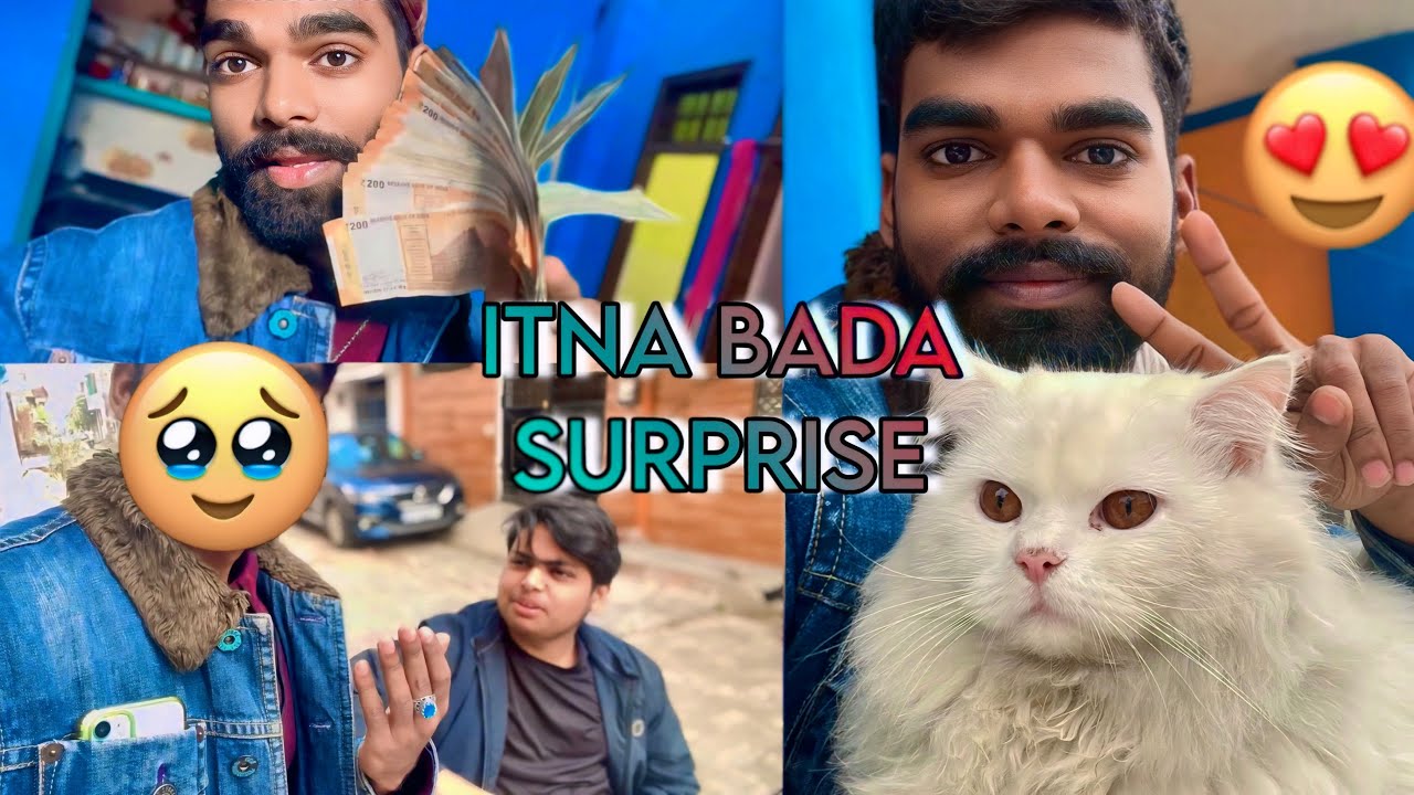 Cat vlog 😍 / Itna Bada Surprise 😮 / 