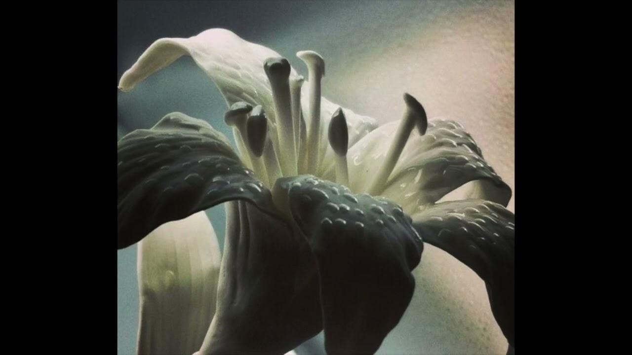 *FREE* deftones x korn x mudvayne nu metal type instrumental - 