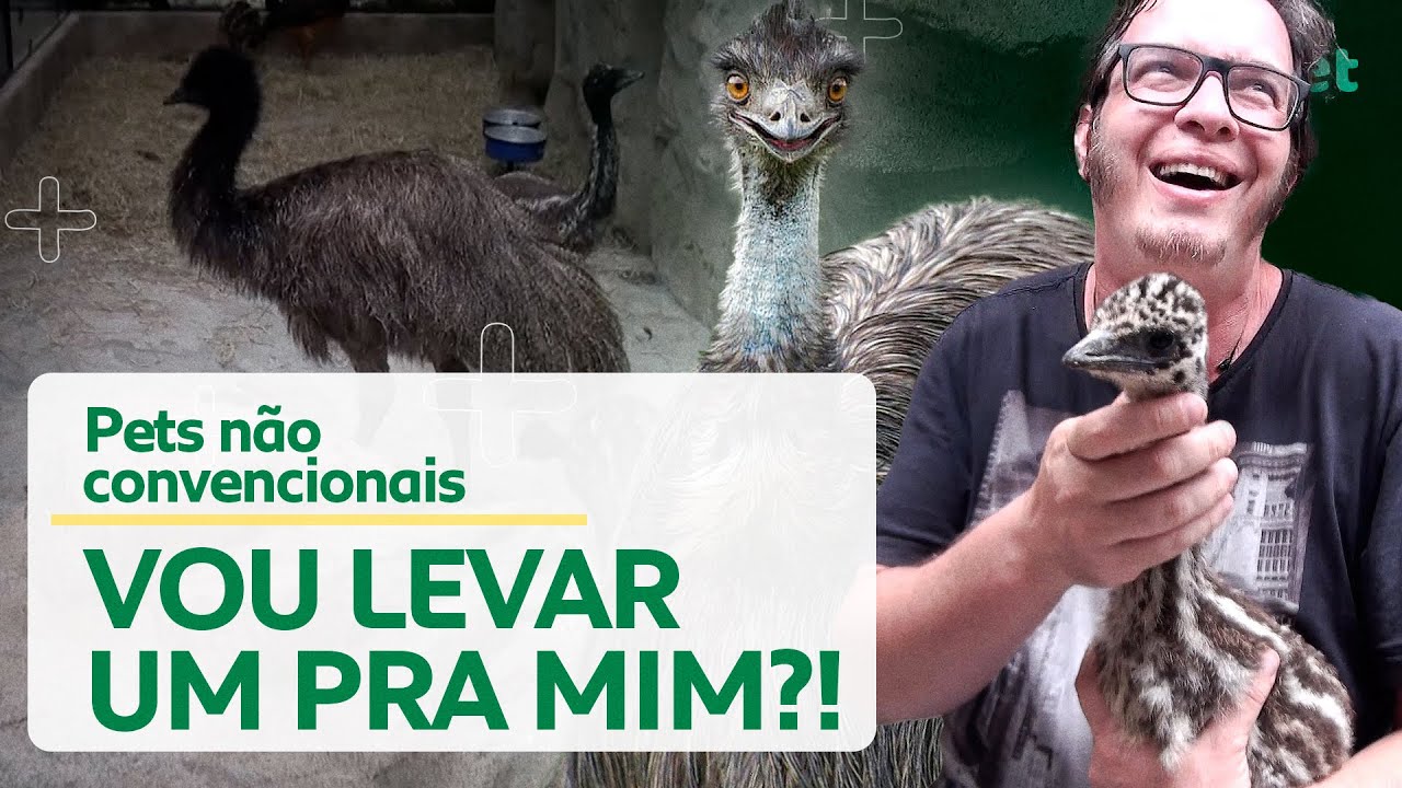 EMU: O CACHORRO DE PENAS?! | CANAL MAIS PET