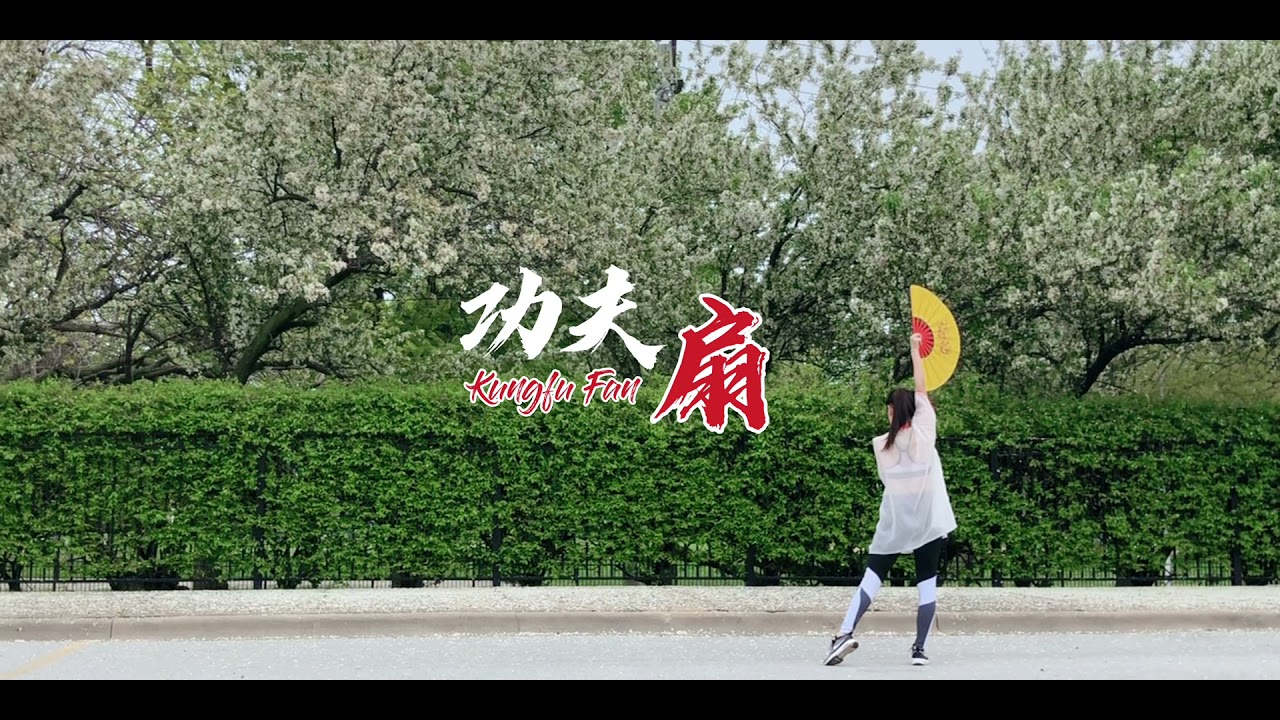 Kungfu Fan 功夫扇