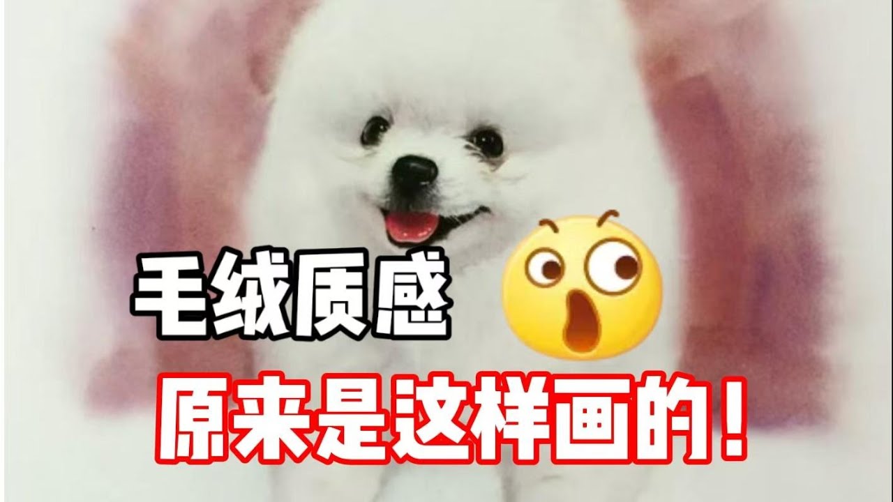 毛绒质感怎么画？水彩教程