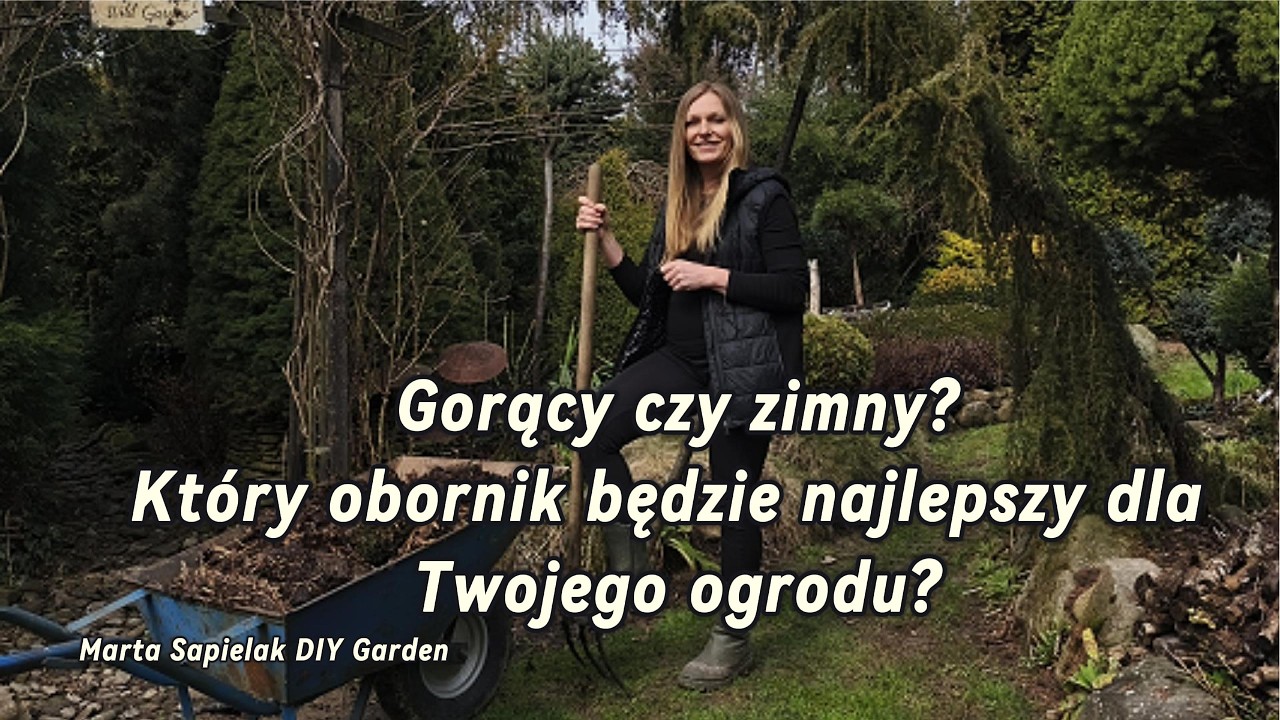 Gorący czy zimny