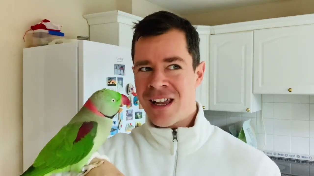 Parrot’s noises ,Alexandrine parrot