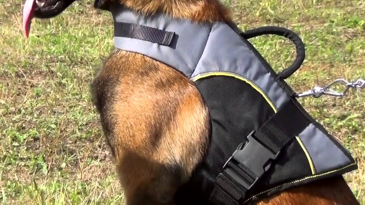 2 in 1: Rehabilitation Harness and Winter Warming Nylon Dog Vest