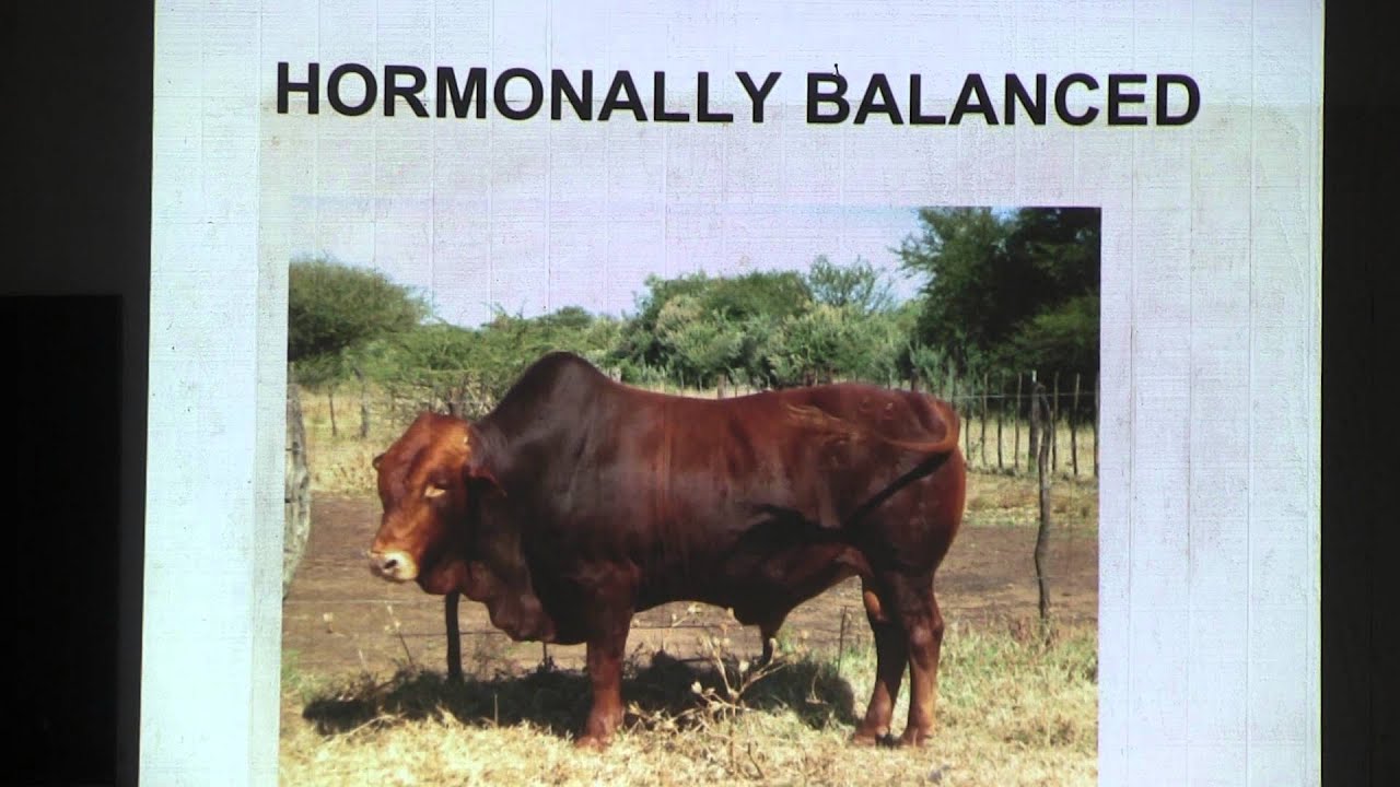 Sustainable Ranching, Day 3 Part 3