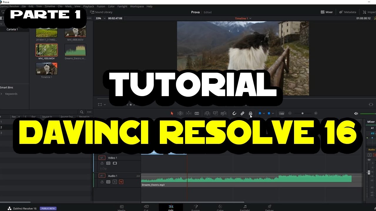 Tutorial DaVinci Resolve 16 - Parte 1 - Introduzione e sezione edit