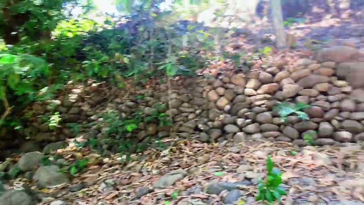 Acá nos venimos hacer este video en estos lugares bonitos 