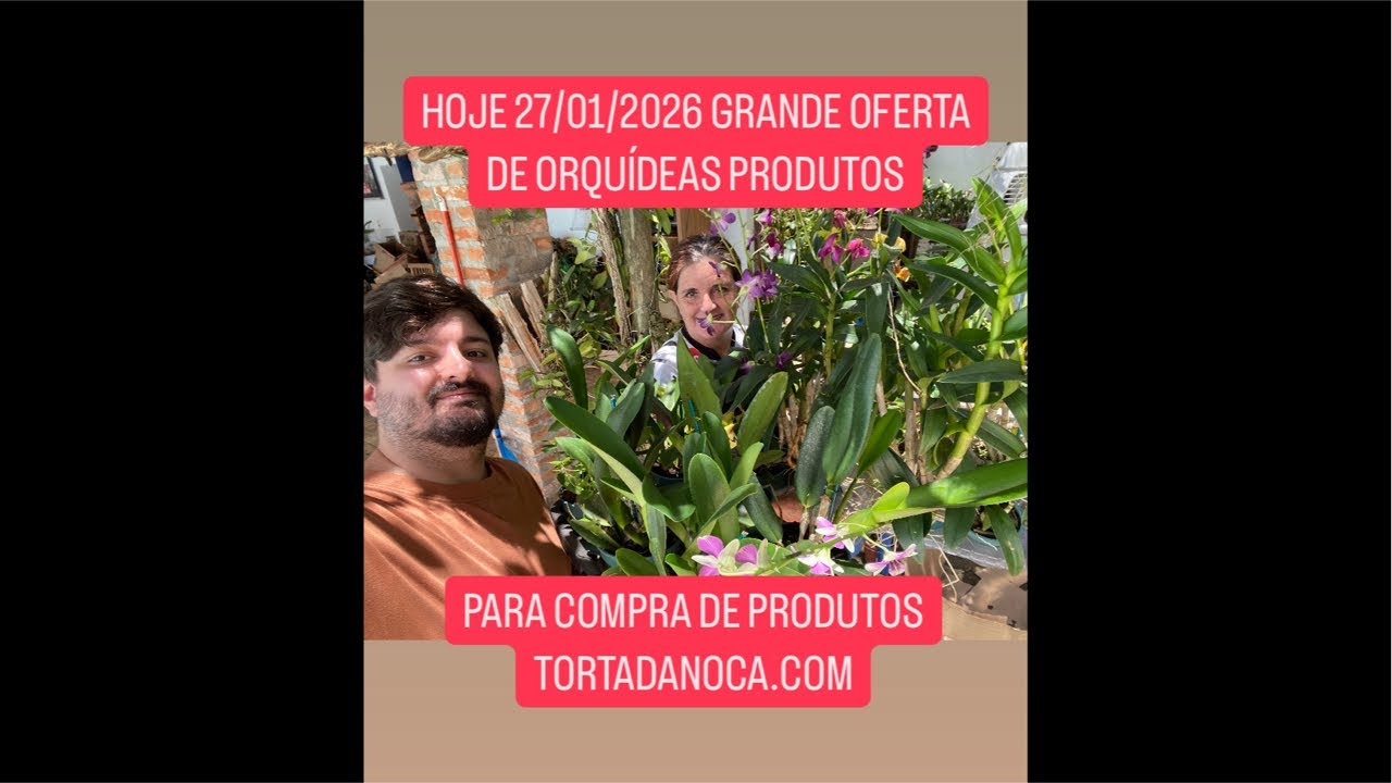 Orquídeas com a Noca está ao vivo!
