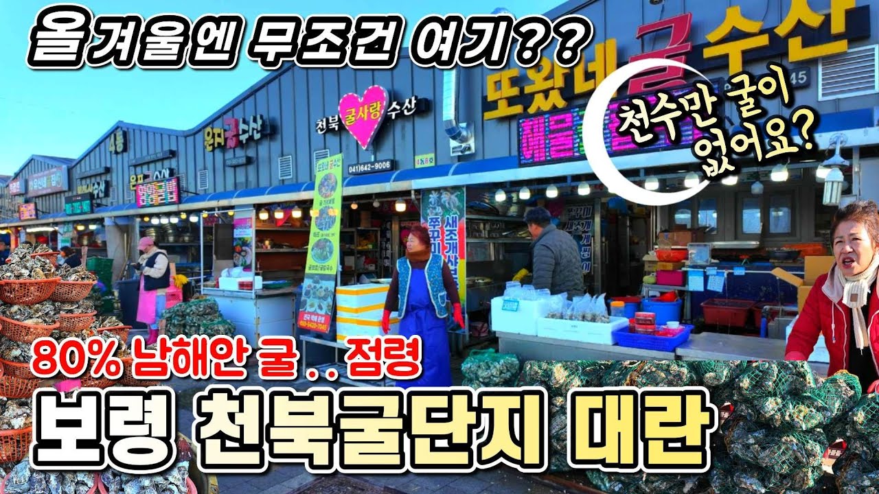 제철 굴 미친가격? 원산지 속임수가 아닌가요?? 천수만에 남해안 굴 80% 쏟아졌다 왜??