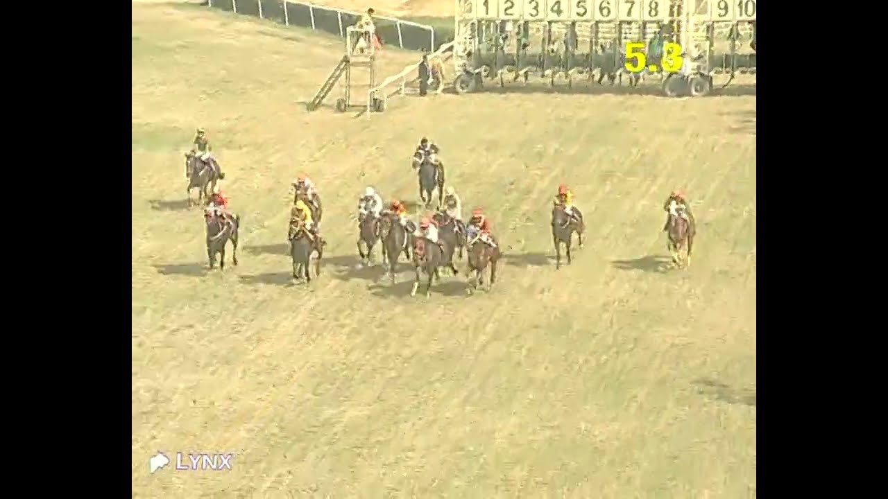 Delhi Race No 1 The Gateway Of India Plate / win - ASHWA SULTAN / Jockey - A S Peter / #video 2026