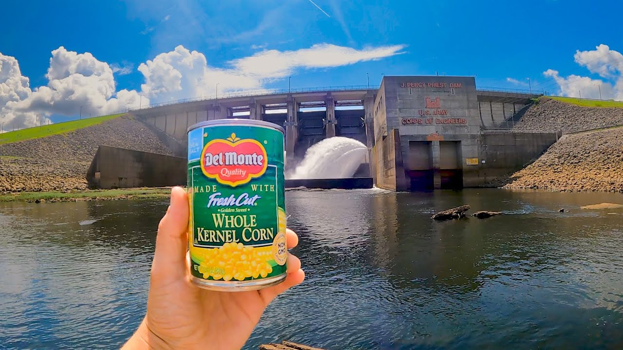 This Simple Bait Catches A TON Of Fish! J Percy Priest Dam