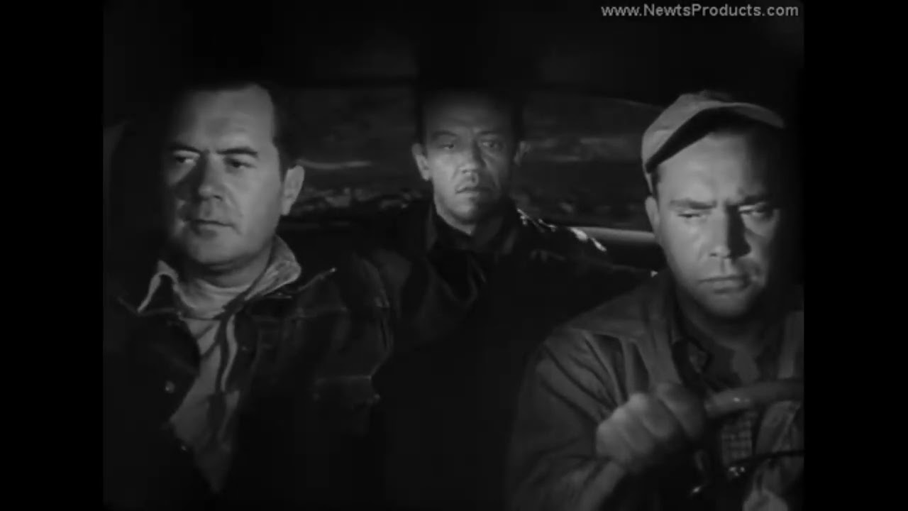 _l_KlaT_TihS_l_ - Hitch-Hiker