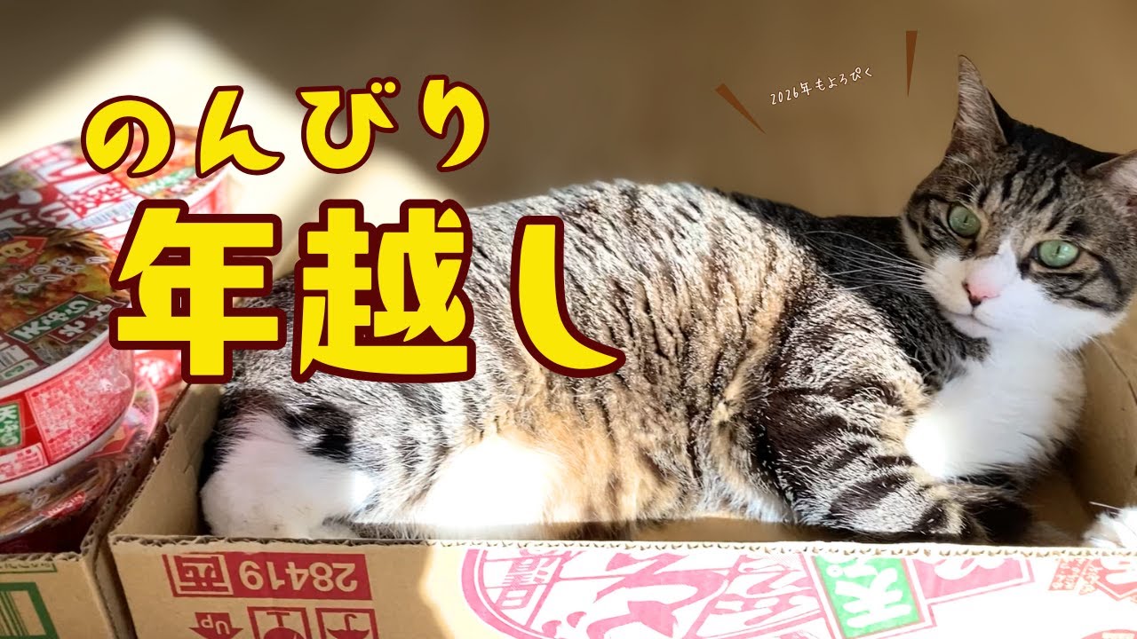 今さら年越し動画だよ