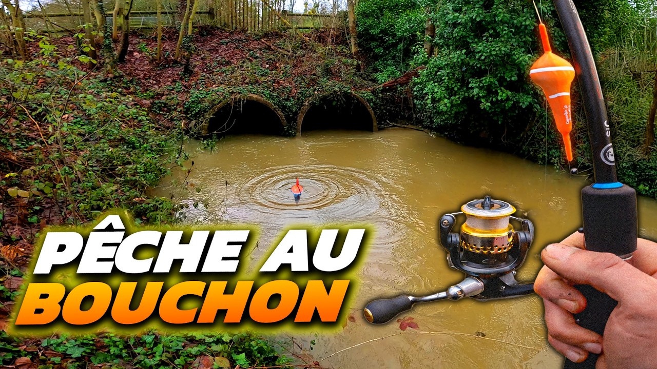 Pêcher au Vers de Terre pendant la fermeture ?! Pleins de Surprises à la Clé ! (Pêche au bouchon)