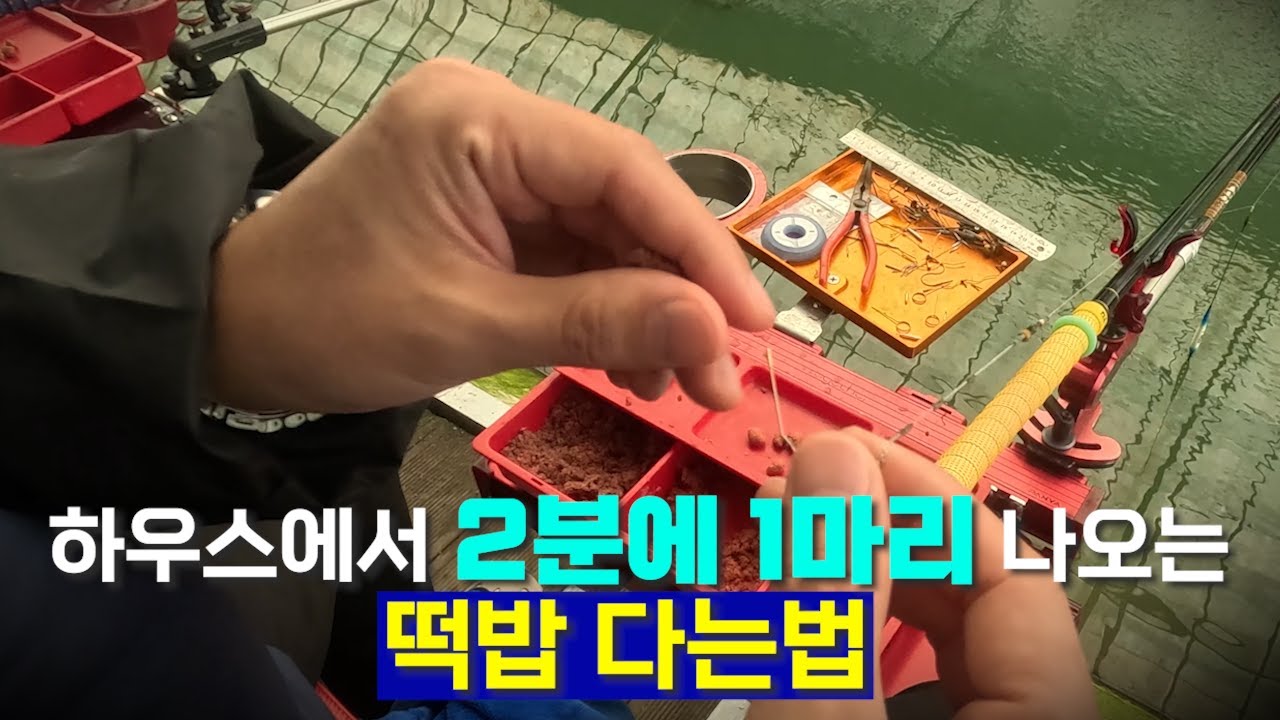 하우스낚시(겨울철) 떡밥 다는법