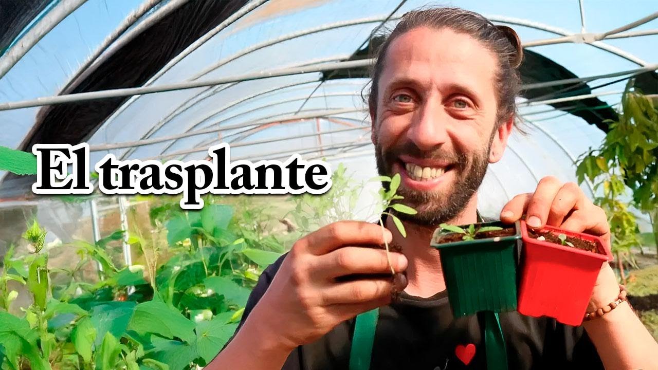 ¿Sabes qué es el repiqueteo y por qué es tan importante?