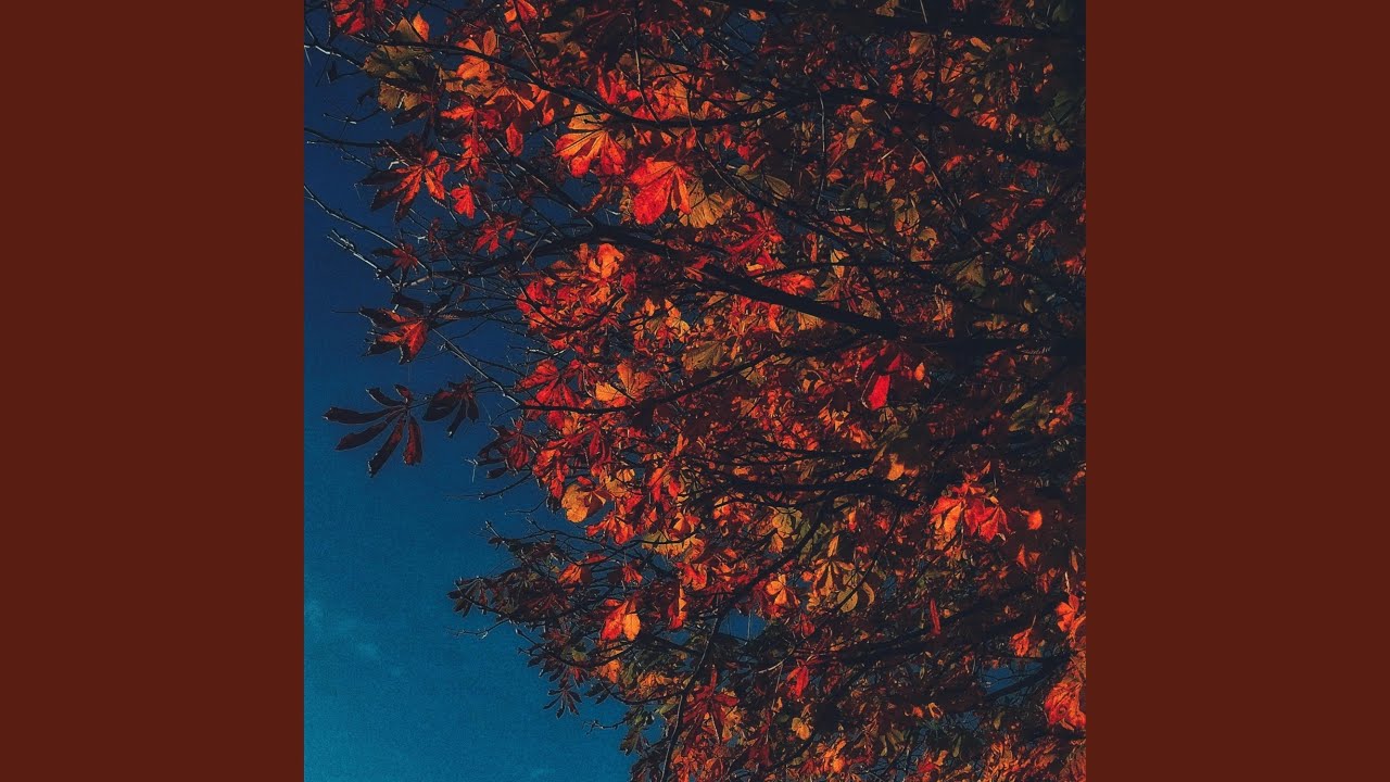 Evening Echoes