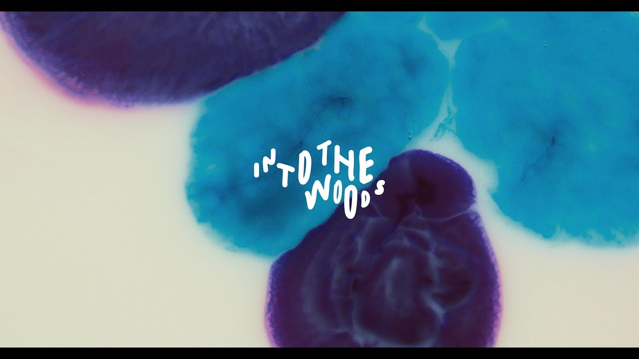 Into the Woods Festival 2017 | Aftermovie