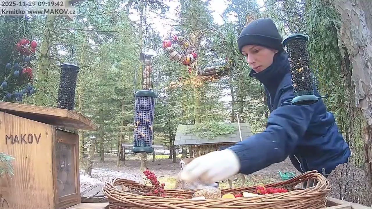 Sobotní snídaně u krmítka s Kristýnou, Mufinkou a srnkami