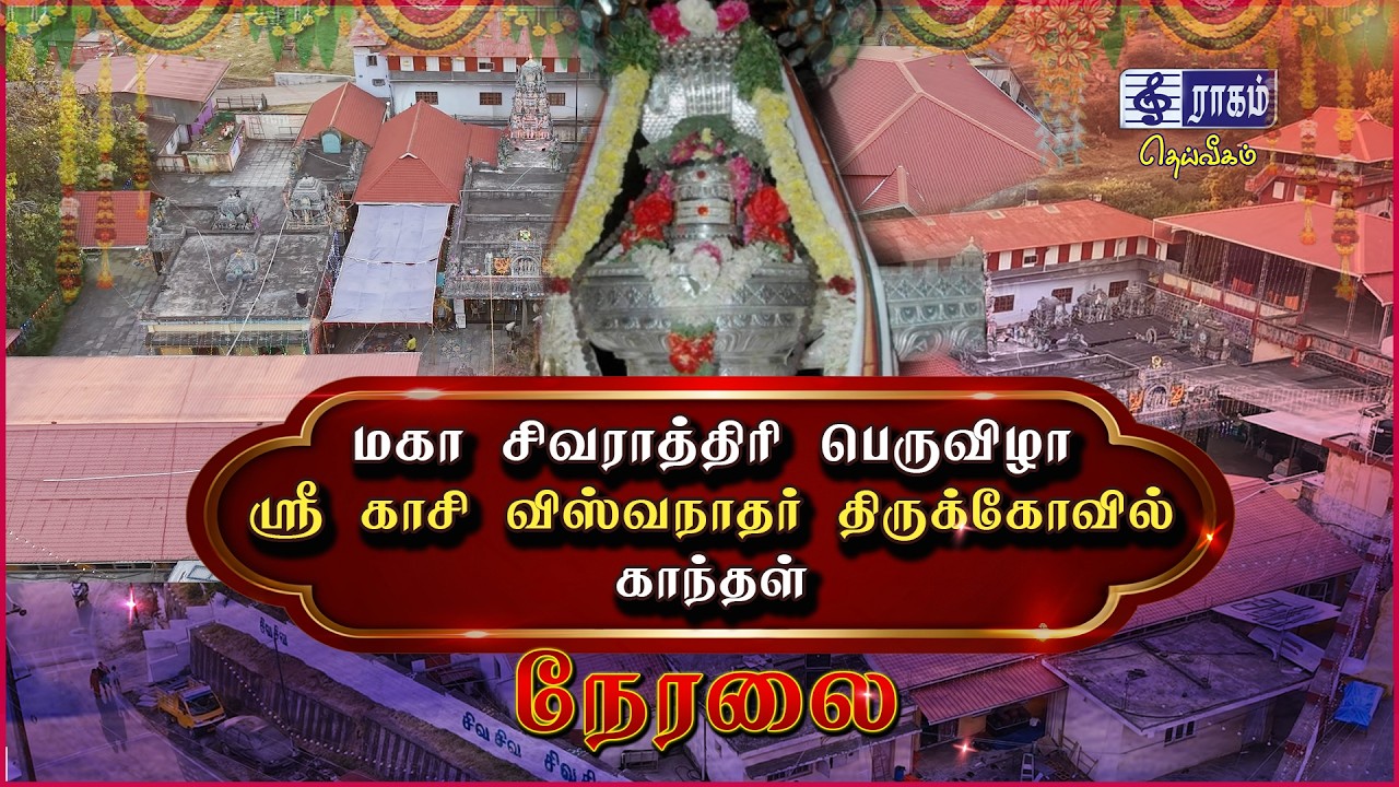 🔴LIVE | கலைநிகழ்ச்சிகள் | மகா சிவராத்திரி பெருவிழா | காந்தள் ஸ்ரீ காசி விஸ்வநாதர் திருக்கோவில் |
