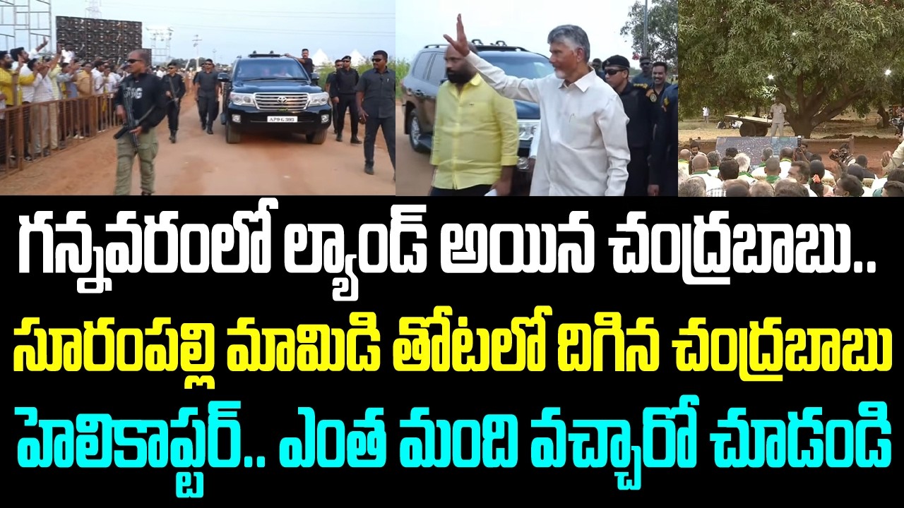 గన్నవరంలో ల్యాండ్ అయిన చంద్రబాబు.. సూరంపల్లి మామిడి తోటలో దిగిన చంద్రబాబు హెలికాప్టర్.. ఎంత మంది