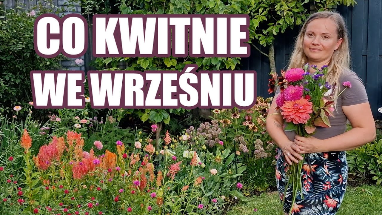 Co kwitnie we wrześniu - Top 10 kwiat&oacute;w z mojego ogrodu 